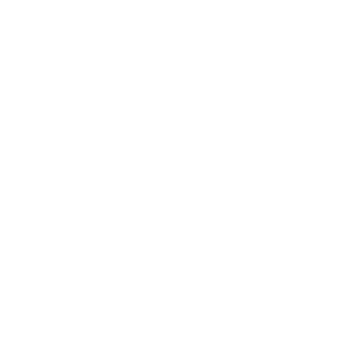 lightbulb icon