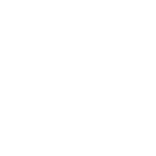 rocket icon